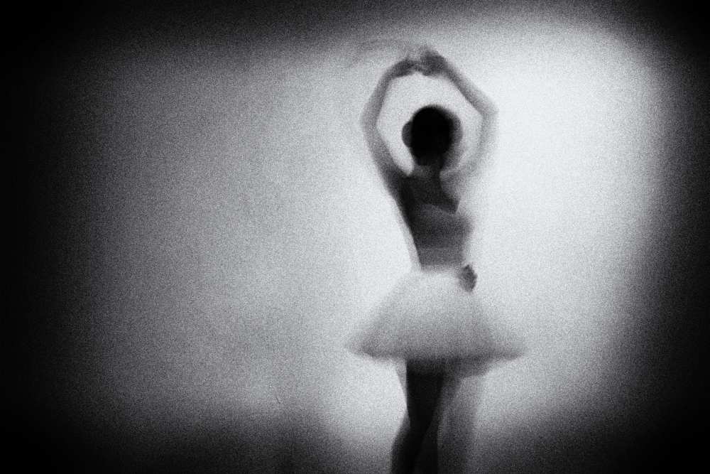 n/t von Paulo Medeiros