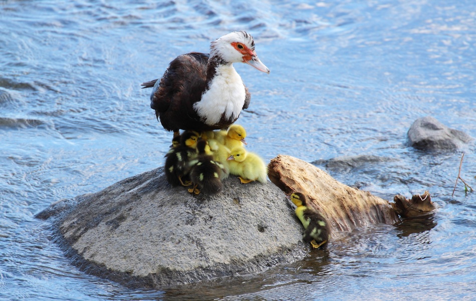 There\'s room for one more? von Paulo Nogueira