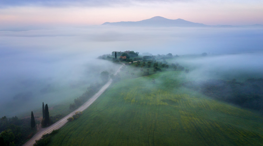 foggy morning von Paulo Nogueira