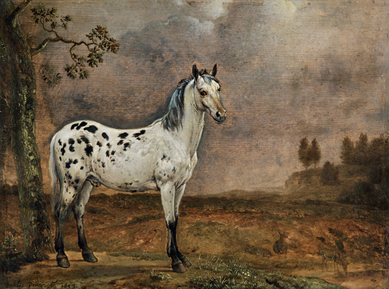 Das gescheckte Pferd von Paulus Potter
