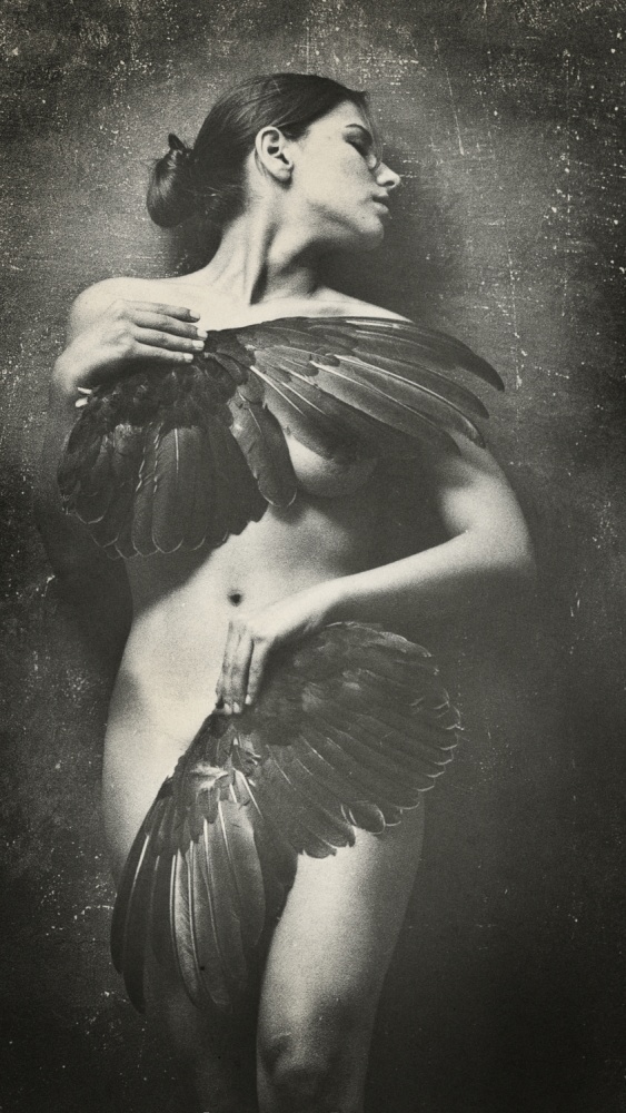 reincarnation von Pavel Titovich