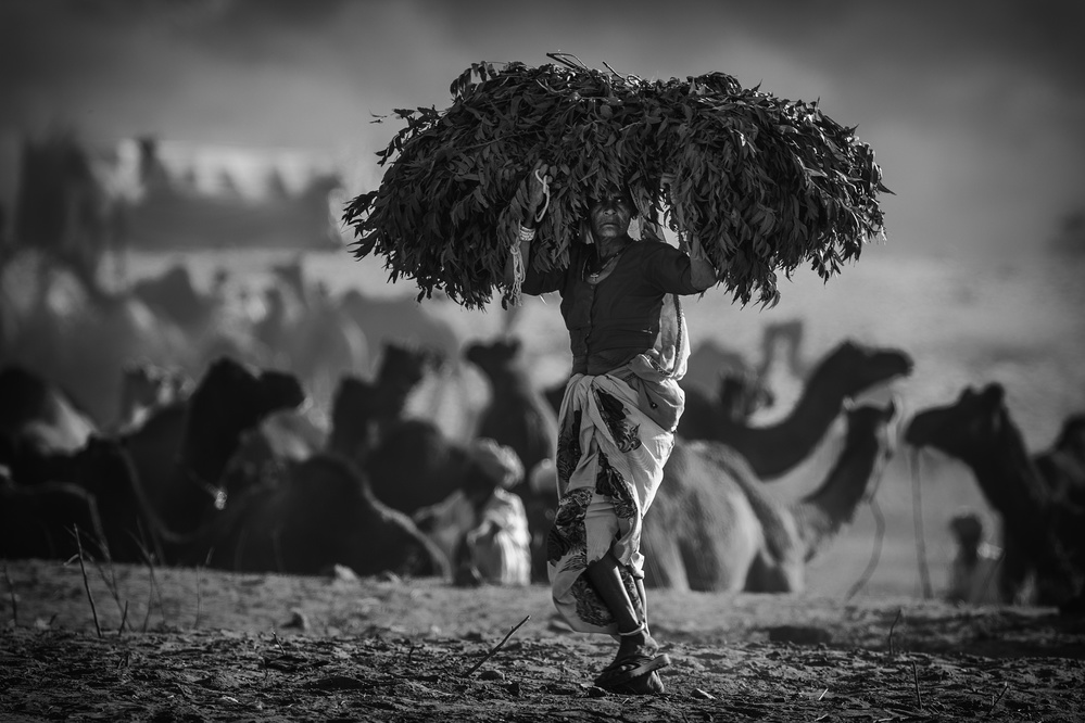 feed von Pavol Stranak