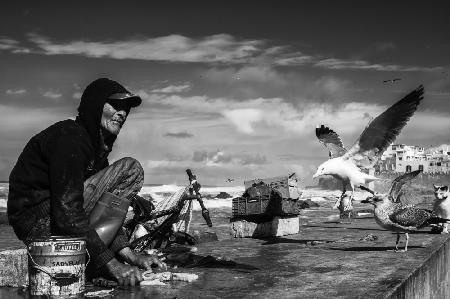 community of the sea