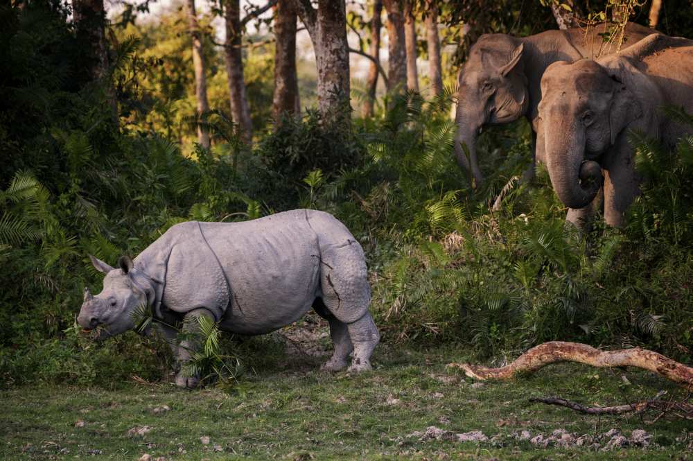 special meeting von Pavol Stranak