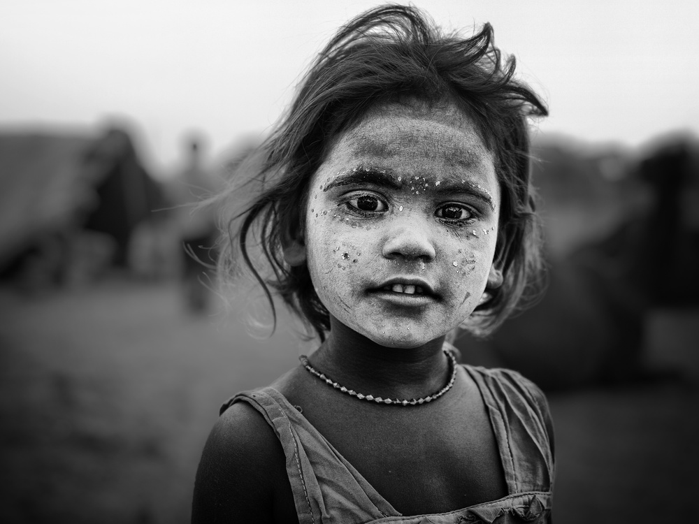 wild von Pavol Stranak