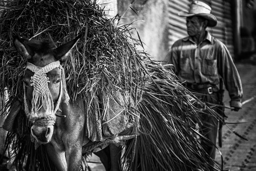 together from work von Pavol Stranak