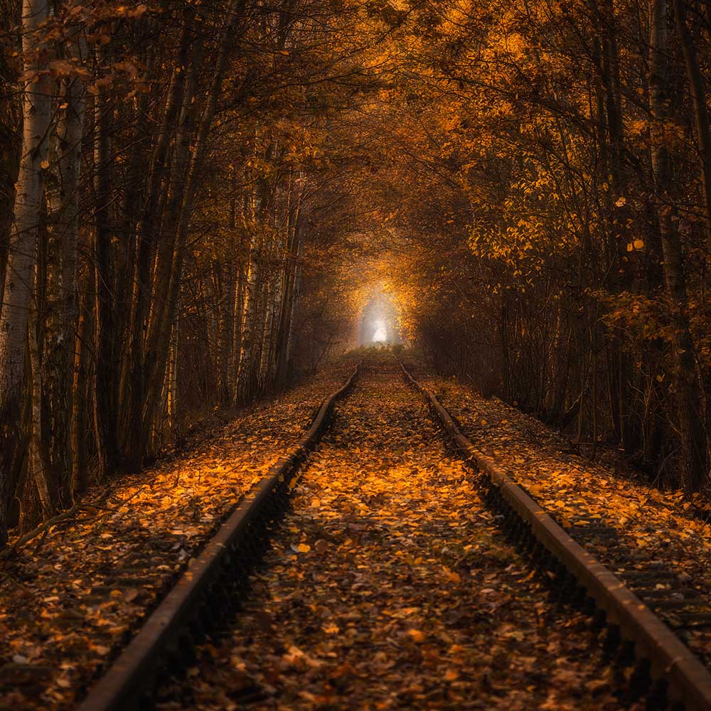 Herbsttunnel von Pawel Uchorczak