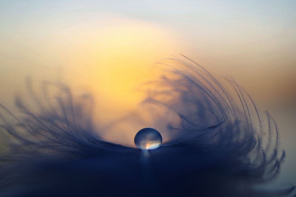 Morgen von Peep Loorits