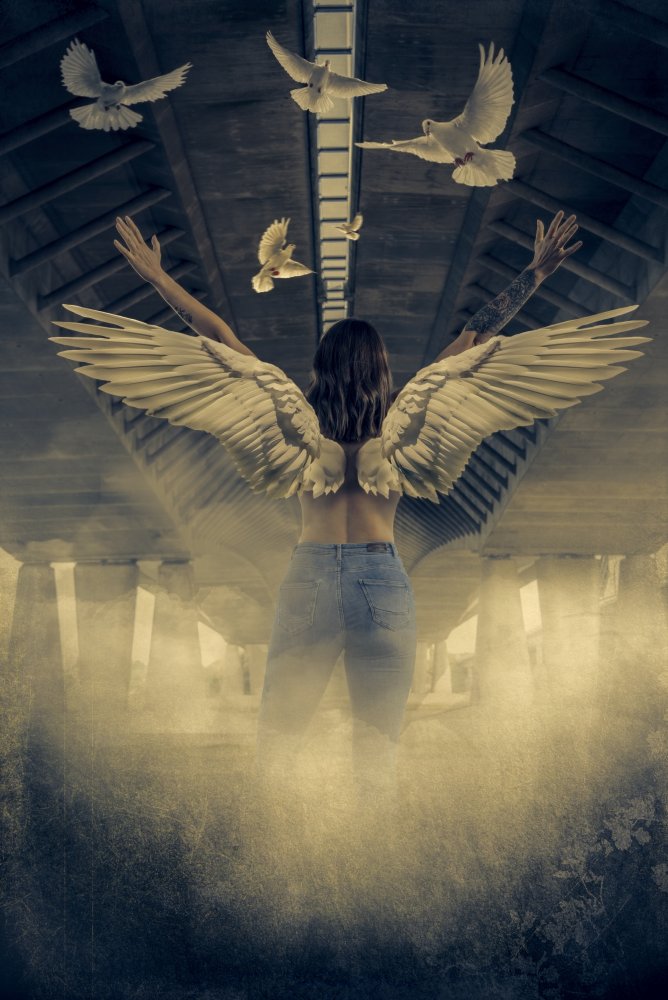 Free von Peeters Jos