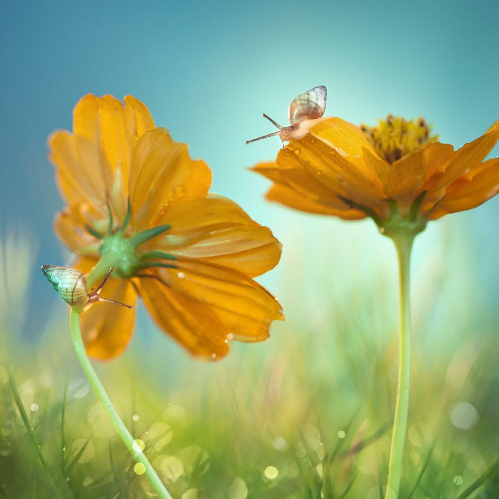 Spielzeit! von Peiling Lee