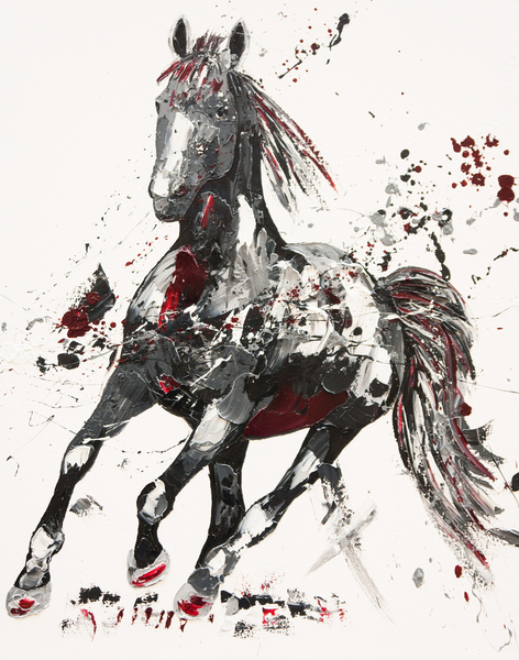 Arena von Penny Warden