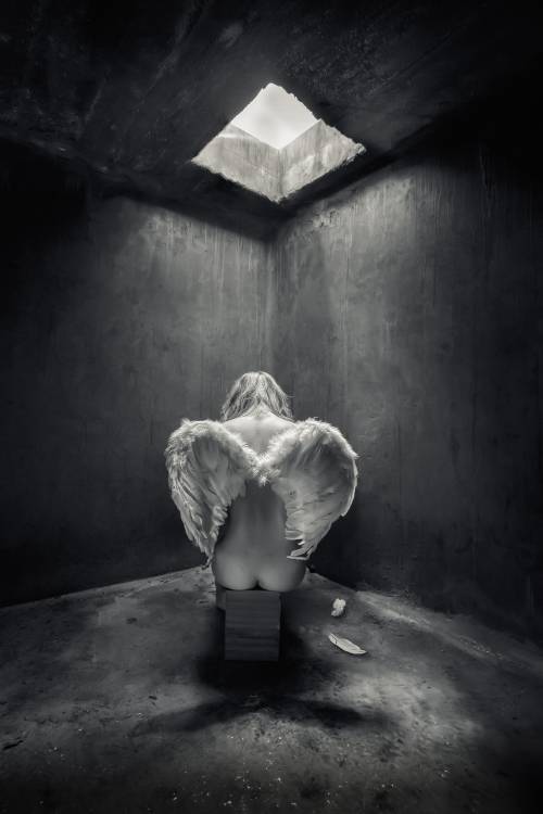 Busted von Petar Lupic