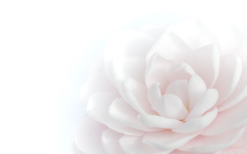 Tender Beauty von Peter Baer