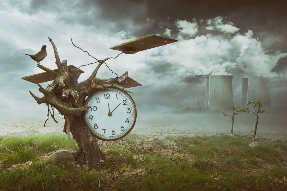 Time Flies von Peter Cakovsky