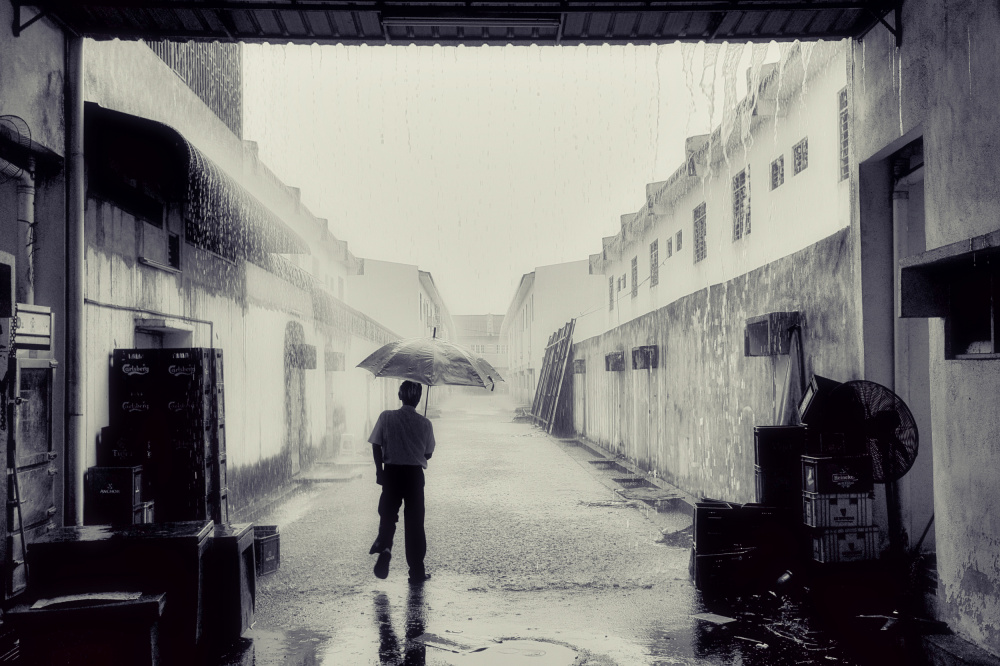 Only the Brave von Peter Davidson