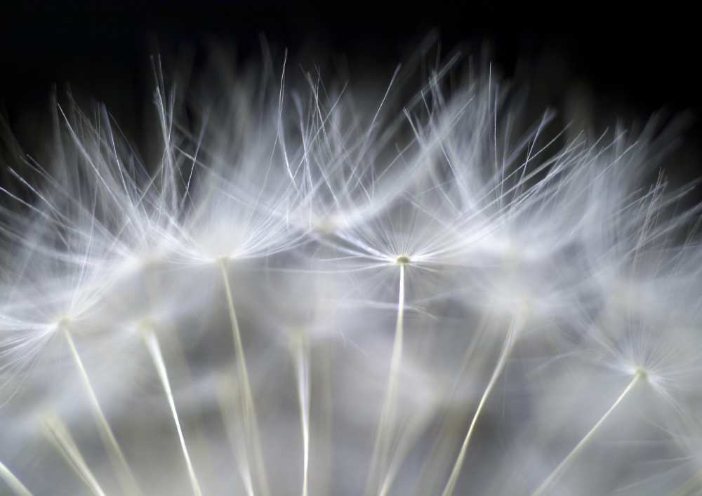 Blow it von Peter Fallberg