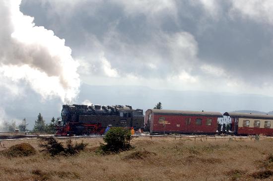 Die Harzer Schmalspurbahn fährt zum Brocken von Peter Förster