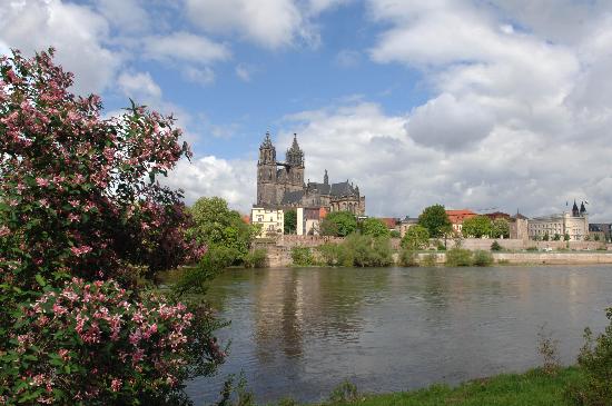 Stadtansicht Magdeburg von Peter Förster