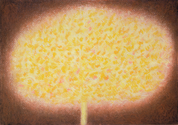 ohne Titel von Peter Davidson