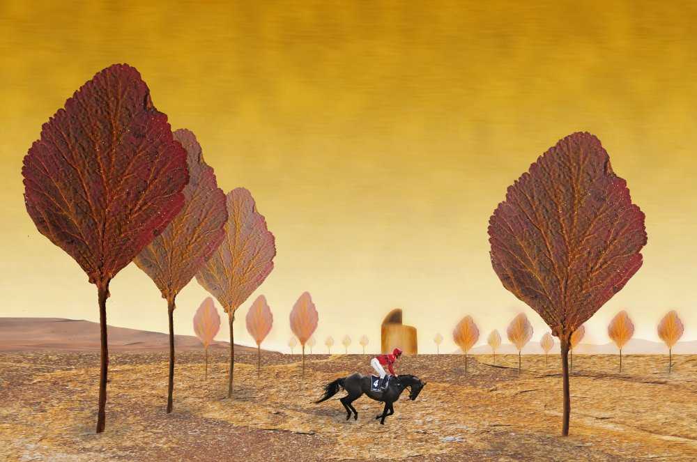 The Lost Jockey von Peter Hammer