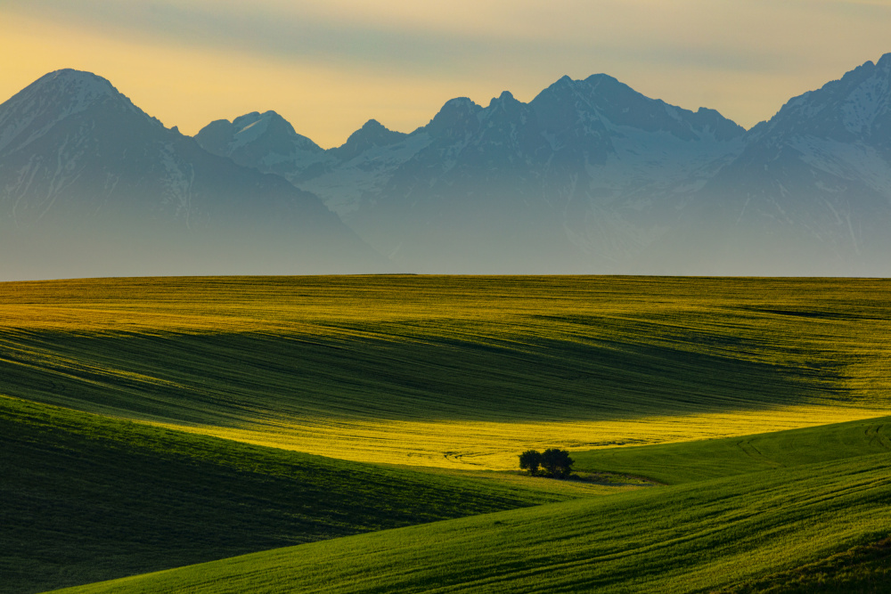 Spring under the Tatras von Peter Hrabinsky