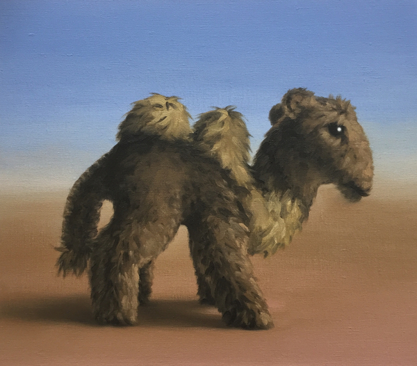 Camel von Peter Jones