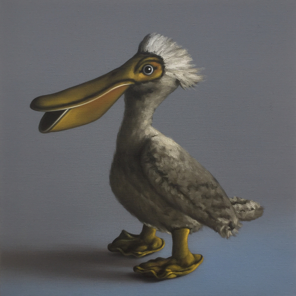 The Pelican von Peter Jones