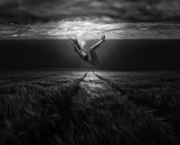 Underwaterlandream von Peter Majkut