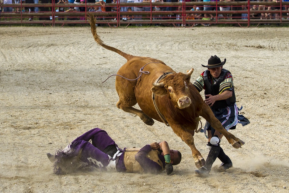 Under von Peter Majkut