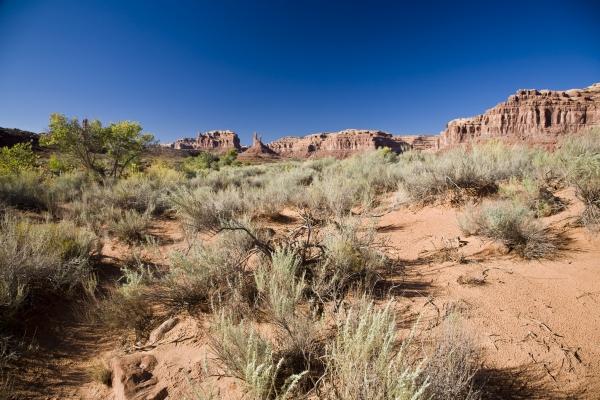 Valley of the gods Arizona USA von Peter Mautsch