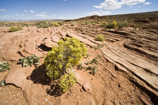 Roter Sandstein blauer Himmel Arizona US von Peter Mautsch