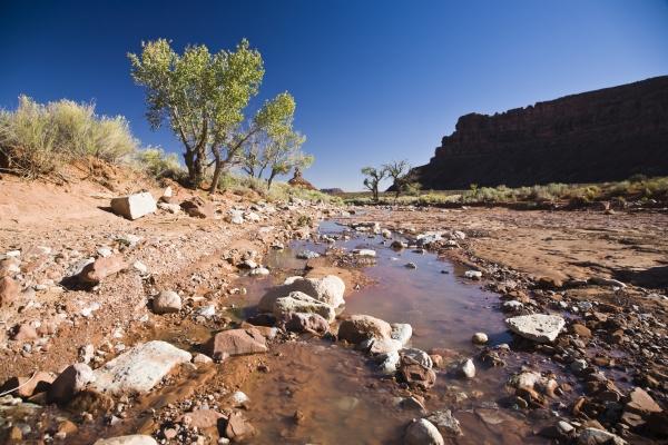Bach im Valley of the gods Utah USA von Peter Mautsch