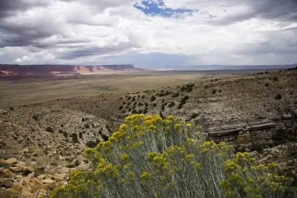 Vermillion Cliffs Arizona USA von Peter Mautsch