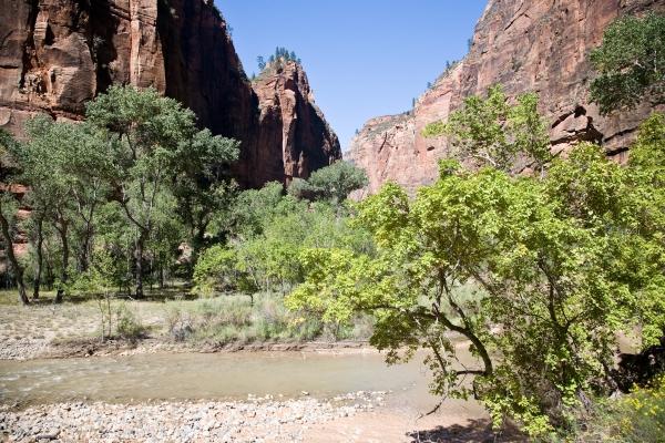 Zion Nationalpark Utah USA von Peter Mautsch