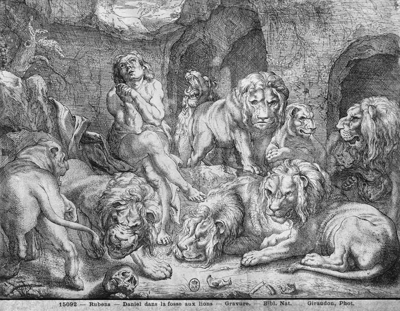 Daniel in the lions'' den von Peter Paul Rubens
