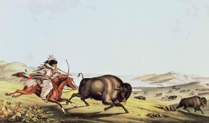 Hunting the Buffalo von Peter Rindisbacher