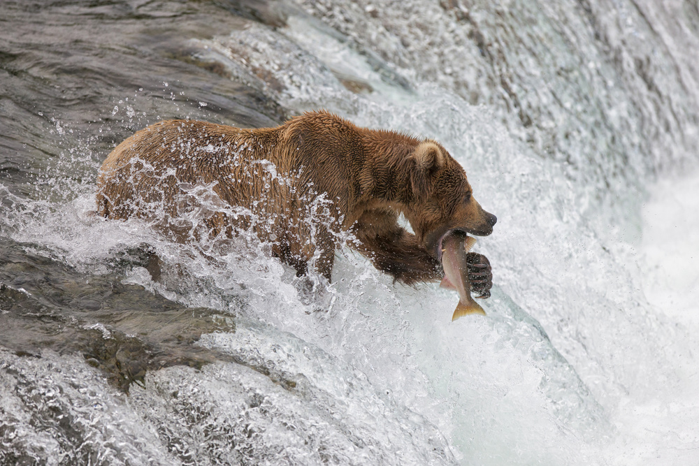 Sushi von Peter Stahl