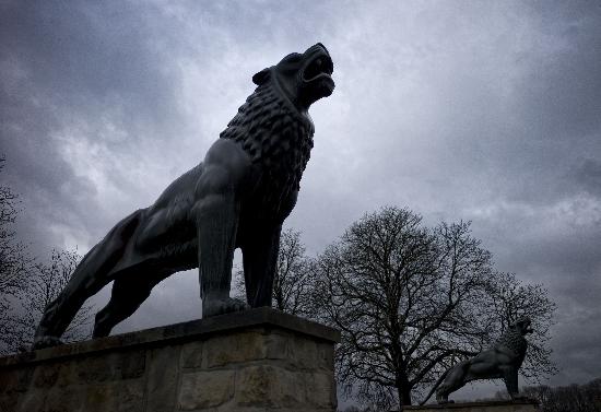 Dunkle Wolken von Peter Steffen