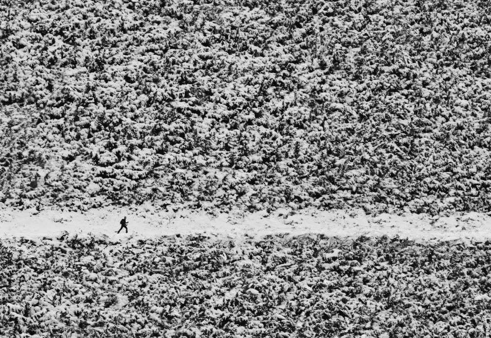 durch Verwirrung gehen von Peter Svoboda