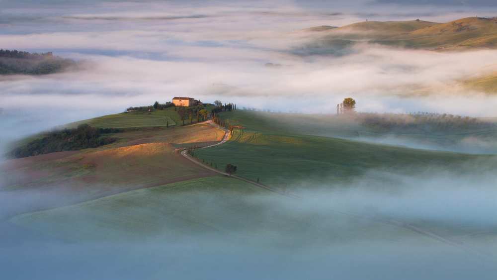 First touch von Peter Svoboda