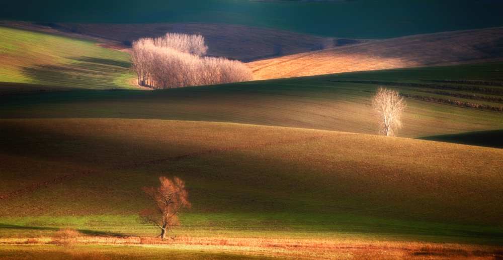 Painted by the light von Peter Svoboda