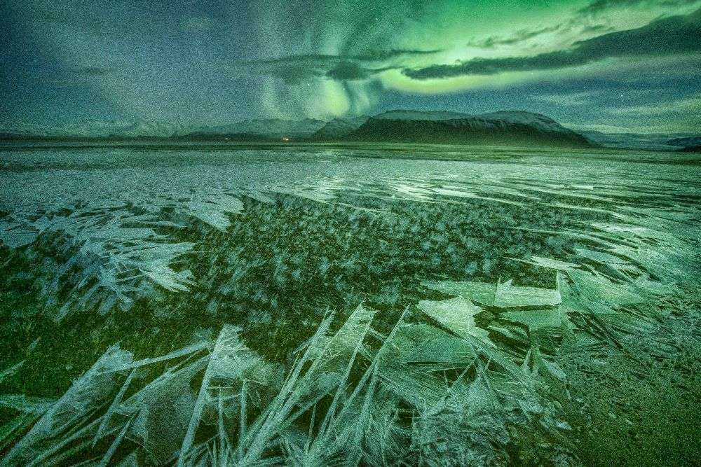 Zerbrechliche Schönheit von Peter Svoboda