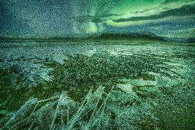 Zerbrechliche Schönheit