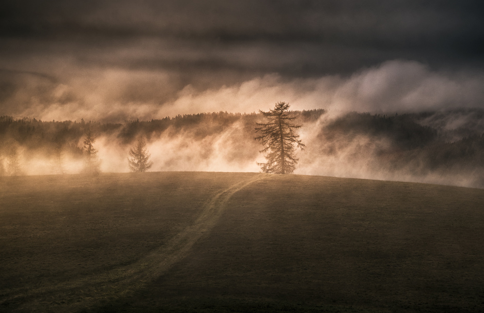 Rising fog von Peter Svoboda MQEP