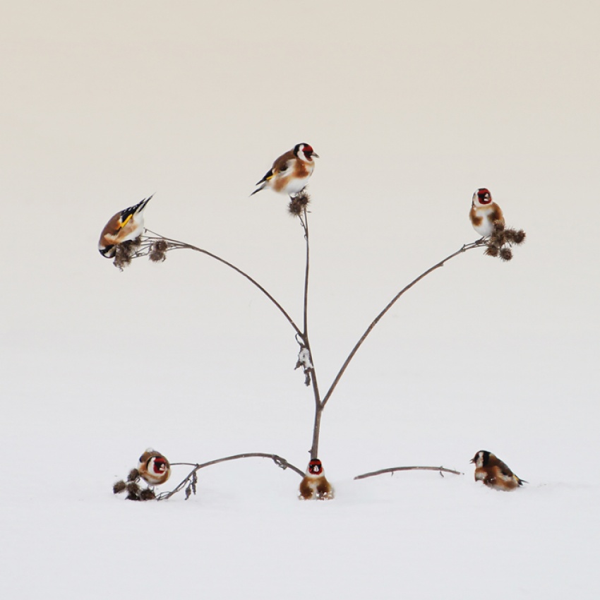 occupied house von Peter Svoboda MQEP