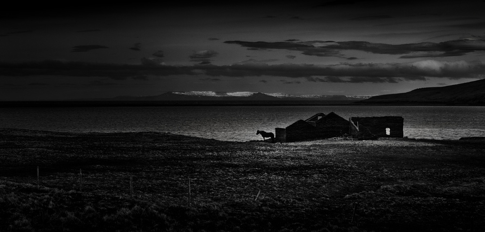 The last who stayed von Peter Svoboda MQEP