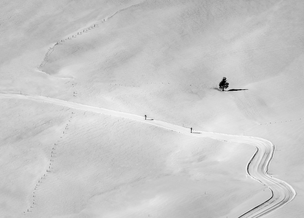 Behind the fence von Peter Svoboda MQEP