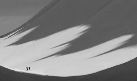 Under the shadows of giants