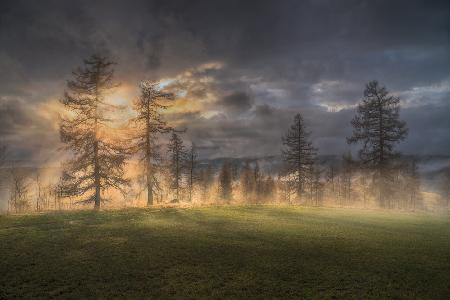 Silent witnesses of the sunset