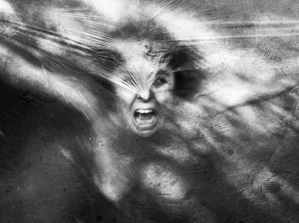 Wild von Peter Zegveld